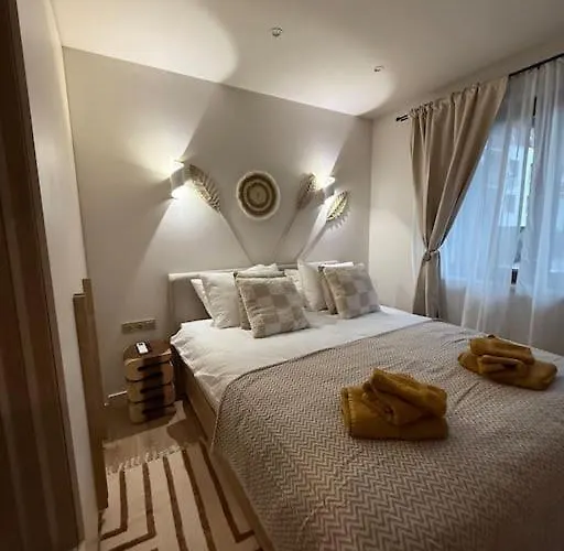 Cozy Design 1 Bedroom Apartment