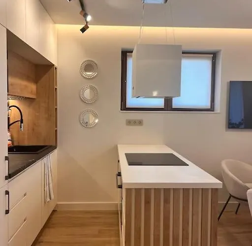 Cozy Design 1 Bedroom Apartment