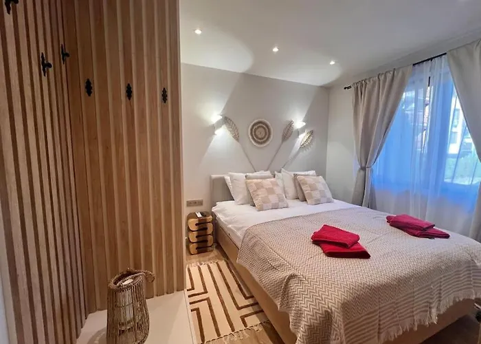 Cozy Design 1 Bedroom Apartment *